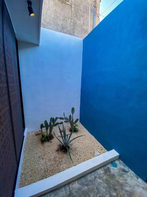 Modern Casa With Pool 7 Mins From Centro 5Min La Plancha Park Mérida Exterior foto